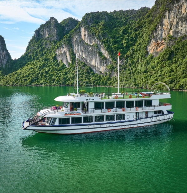 Sonata Ha Long – Discover on a 5-Star Day Cruise