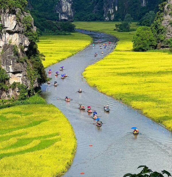 Day Tour to Hoa Lu and Tam Coc (Ninh Binh)