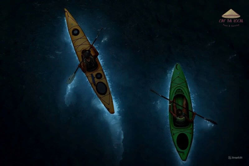 Experience the Sunset and Plankton Bioluminescent Night Kayak - Lan Ha Bay