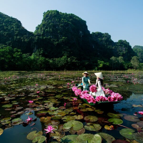 Bai Dinh – Hoa Lu – Trang An – Mua Cave Small Group Tour